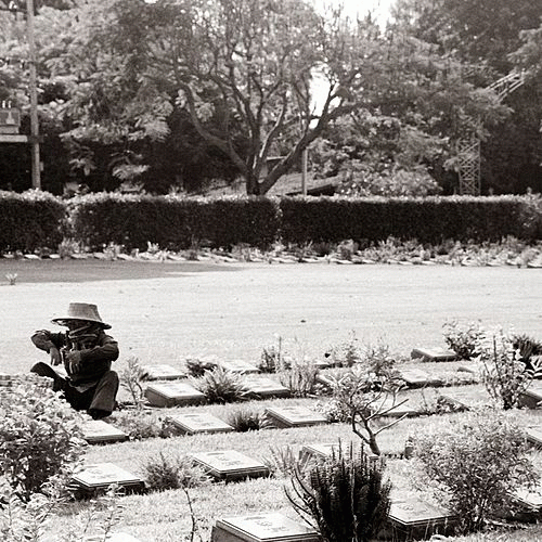 Royal Coda : Cut Me Under